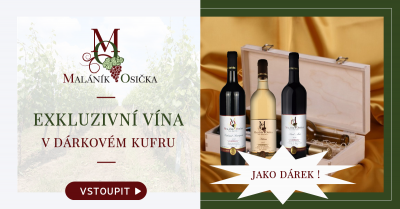 produkt_2ks vína Cabernet Sauvignon. PS-19. Dárkový kufr E1.